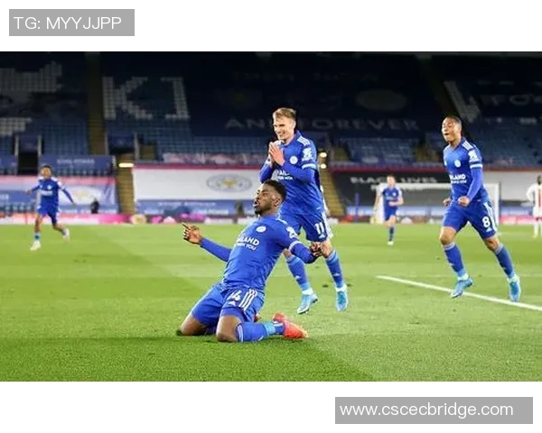 南安普顿主场迎战莱斯特城争夺英超宝贵积分的精彩对决 南安普顿主场迎战莱斯特城争夺英超宝贵积分的精彩对决