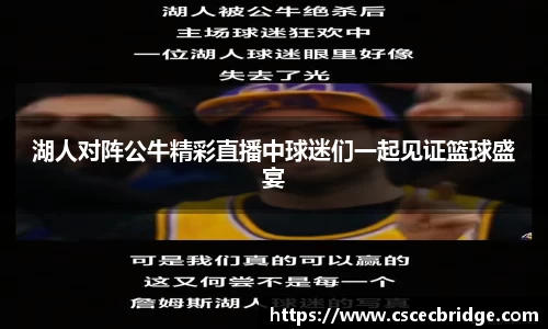 湖人对阵公牛精彩直播中球迷们一起见证篮球盛宴