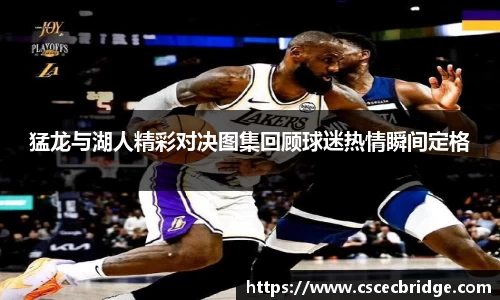 猛龙与湖人精彩对决图集回顾球迷热情瞬间定格